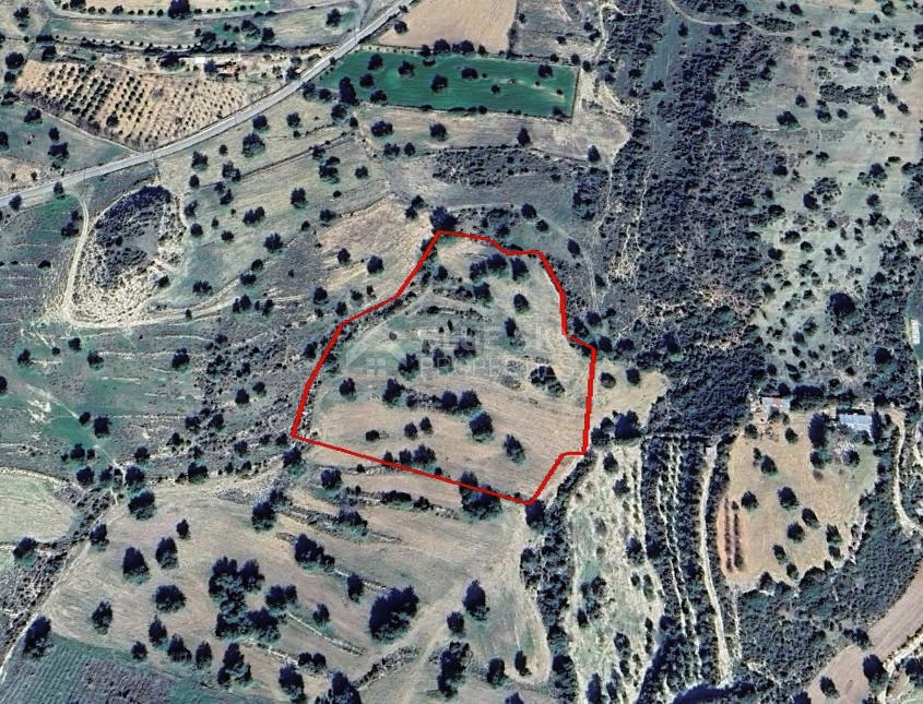 Agricultural Land for Sale in Anogyra