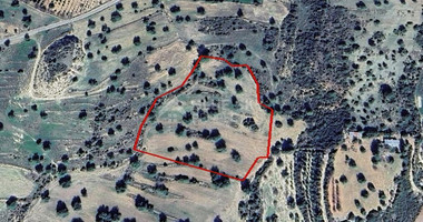 Agricultural Land for Sale in Anogyra