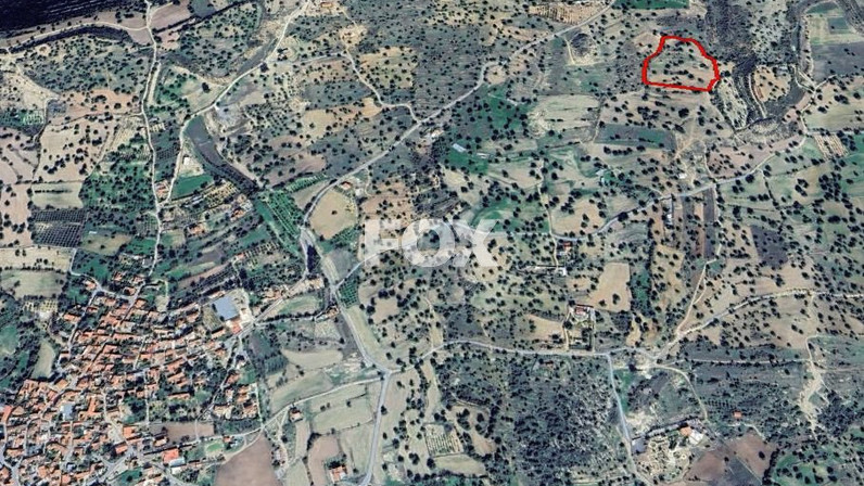 Plot of land for sale 21043 m² in Anogyra, Limassol, Cyprus