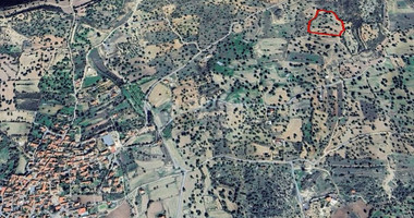 Agricultural Land for Sale in Anogyra