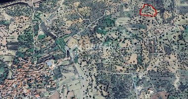 Agricultural Land for Sale in Anogyra