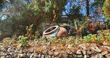 Furnished house in moniatis with guest house