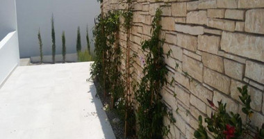 4 Bed House For Sale In Pegeia Paphos Cyprus