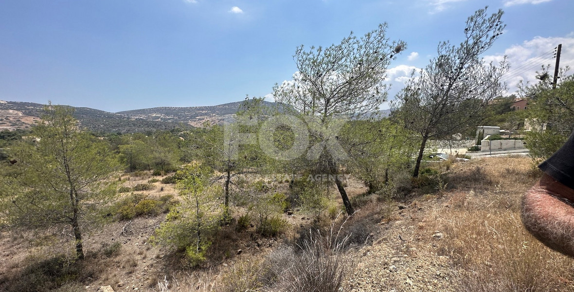 An amazing agricultural field with private road in Finikaria 24,415 sq. amongst pine trees and nature,  10 minutes from central Limassol.