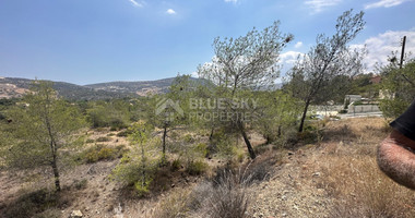 An amazing agricultural field with private road in Finikaria 24,415 sq. amongst pine trees and nature,  10 minutes from central Limassol.