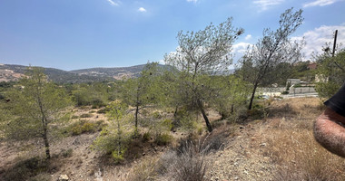 An amazing agricultural field with private road in Finikaria 24,415 sq. amongst pine trees and nature,  10 minutes from central Limassol.