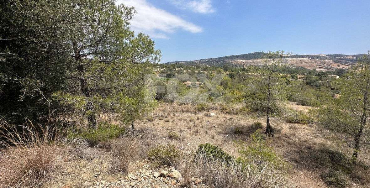 An amazing agricultural field with private road in Finikaria 24,415 sq. amongst pine trees and nature,  10 minutes from central Limassol.