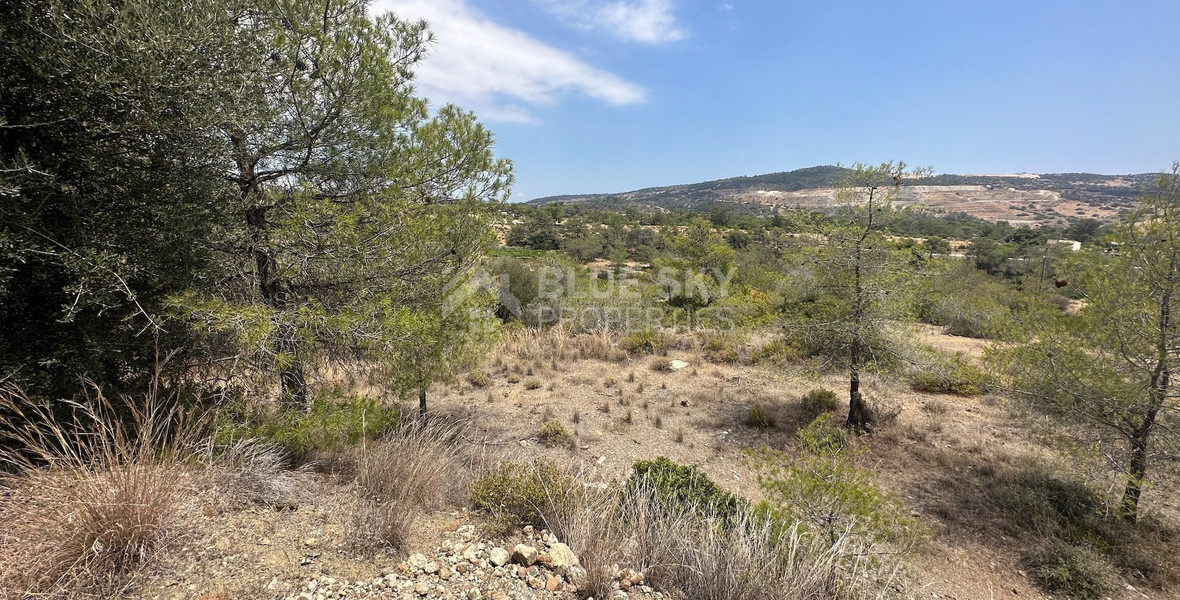 An amazing agricultural field with private road in Finikaria 24,415 sq. amongst pine trees and nature,  10 minutes from central Limassol.