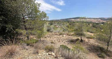 An amazing agricultural field with private road in Finikaria 24,415 sq. amongst pine trees and nature,  10 minutes from central Limassol.