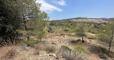 An amazing agricultural field with private road in Finikaria 24,415 sq. amongst pine trees and nature,  10 minutes from central Limassol.