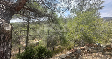 An amazing agricultural field with private road in Finikaria 24,415 sq. amongst pine trees and nature,  10 minutes from central Limassol.