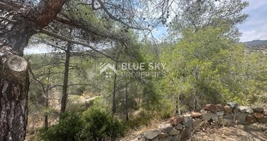 An amazing agricultural field with private road in Finikaria 24,415 sq. amongst pine trees and nature,  10 minutes from central Limassol.