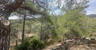 An amazing agricultural field with private road in Finikaria 24,415 sq. amongst pine trees and nature,  10 minutes from central Limassol.