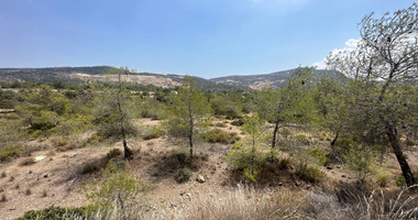 An amazing agricultural field with private road in Finikaria 24,415 sq. amongst pine trees and nature,  10 minutes from central Limassol.