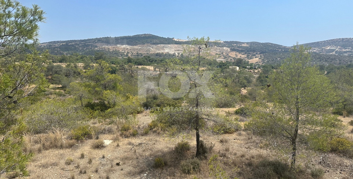 An amazing agricultural field with private road in Finikaria 24,415 sq. amongst pine trees and nature,  10 minutes from central Limassol.