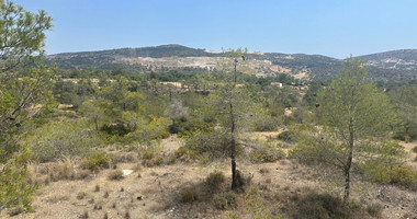 An amazing agricultural field with private road in Finikaria 24,415 sq. amongst pine trees and nature,  10 minutes from central Limassol.