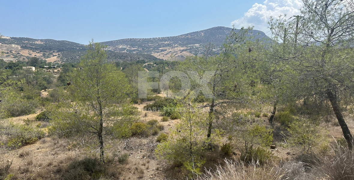 An amazing agricultural field with private road in Finikaria 24,415 sq. amongst pine trees and nature,  10 minutes from central Limassol.