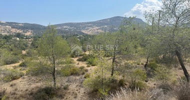 An amazing agricultural field with private road in Finikaria 24,415 sq. amongst pine trees and nature,  10 minutes from central Limassol.