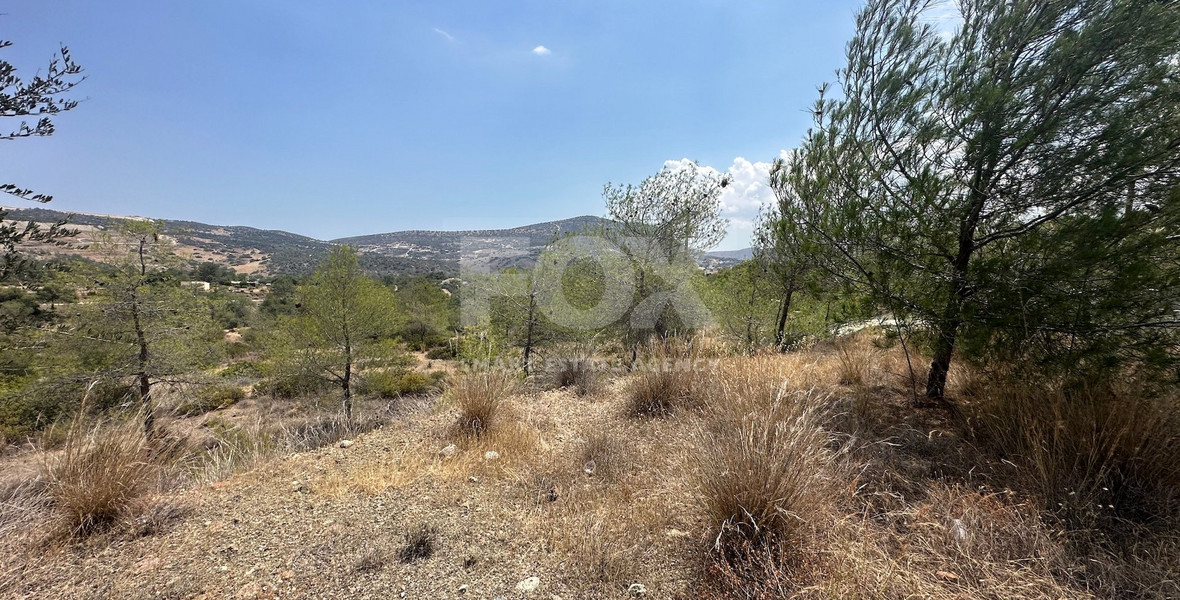 An amazing agricultural field with private road in Finikaria 24,415 sq. amongst pine trees and nature,  10 minutes from central Limassol.