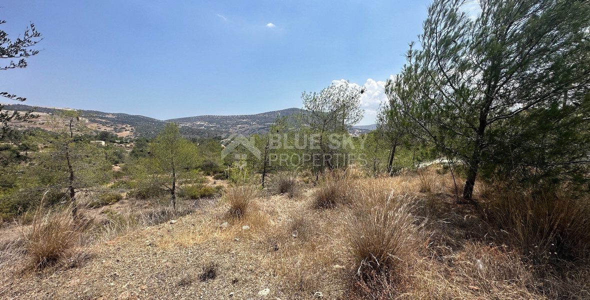 An amazing agricultural field with private road in Finikaria 24,415 sq. amongst pine trees and nature,  10 minutes from central Limassol.