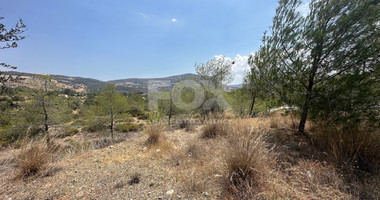 An amazing agricultural field with private road in Finikaria 24,415 sq. amongst pine trees and nature,  10 minutes from central Limassol.