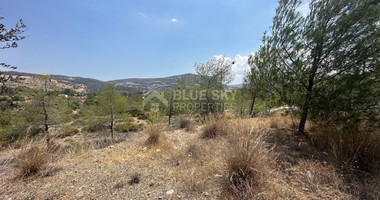 An amazing agricultural field with private road in Finikaria 24,415 sq. amongst pine trees and nature,  10 minutes from central Limassol.