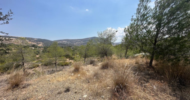 An amazing agricultural field with private road in Finikaria 24,415 sq. amongst pine trees and nature,  10 minutes from central Limassol.