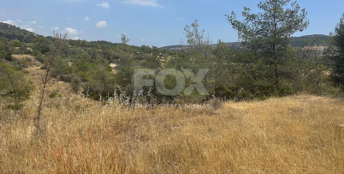 An amazing agricultural field with private road in Finikaria 24,415 sq. amongst pine trees and nature,  10 minutes from central Limassol.