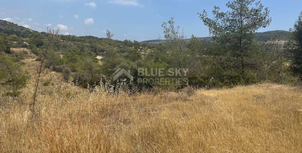 An amazing agricultural field with private road in Finikaria 24,415 sq. amongst pine trees and nature,  10 minutes from central Limassol.