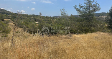 An amazing agricultural field with private road in Finikaria 24,415 sq. amongst pine trees and nature,  10 minutes from central Limassol.