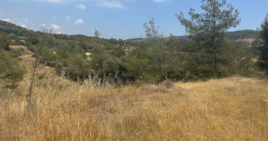 An amazing agricultural field with private road in Finikaria 24,415 sq. amongst pine trees and nature,  10 minutes from central Limassol.