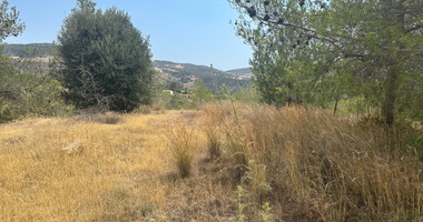 An amazing agricultural field with private road in Finikaria 24,415 sq. amongst pine trees and nature,  10 minutes from central Limassol.