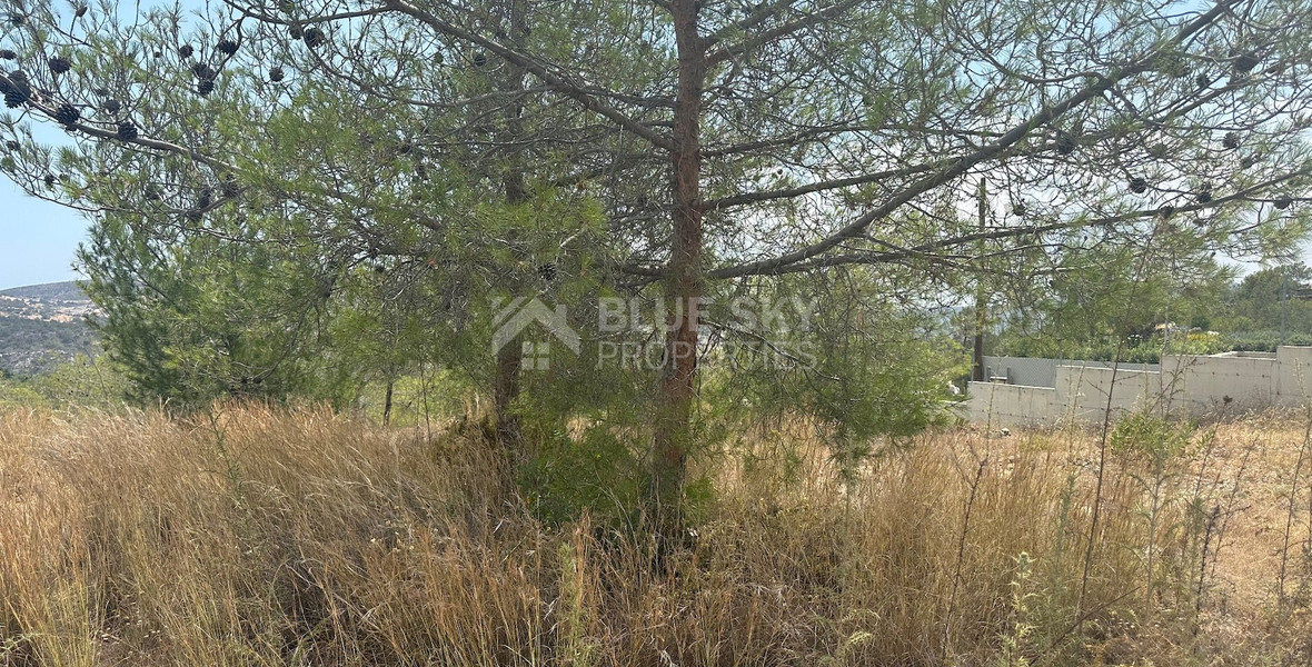 An amazing agricultural field with private road in Finikaria 24,415 sq. amongst pine trees and nature,  10 minutes from central Limassol.