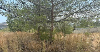 An amazing agricultural field with private road in Finikaria 24,415 sq. amongst pine trees and nature,  10 minutes from central Limassol.