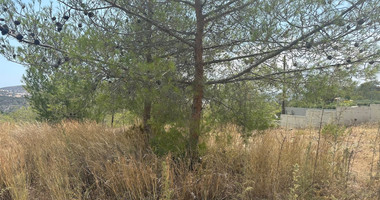 An amazing agricultural field with private road in Finikaria 24,415 sq. amongst pine trees and nature,  10 minutes from central Limassol.