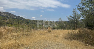 An amazing agricultural field with private road in Finikaria 24,415 sq. amongst pine trees and nature,  10 minutes from central Limassol.