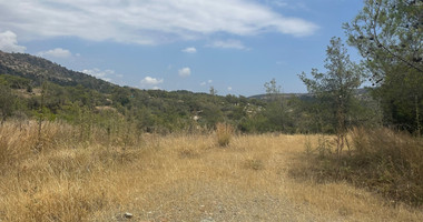 An amazing agricultural field with private road in Finikaria 24,415 sq. amongst pine trees and nature,  10 minutes from central Limassol.