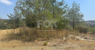 An amazing agricultural field with private road in Finikaria 24,415 sq. amongst pine trees and nature,  10 minutes from central Limassol.