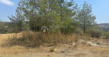 An amazing agricultural field with private road in Finikaria 24,415 sq. amongst pine trees and nature,  10 minutes from central Limassol.