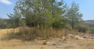 An amazing agricultural field with private road in Finikaria 24,415 sq. amongst pine trees and nature,  10 minutes from central Limassol.