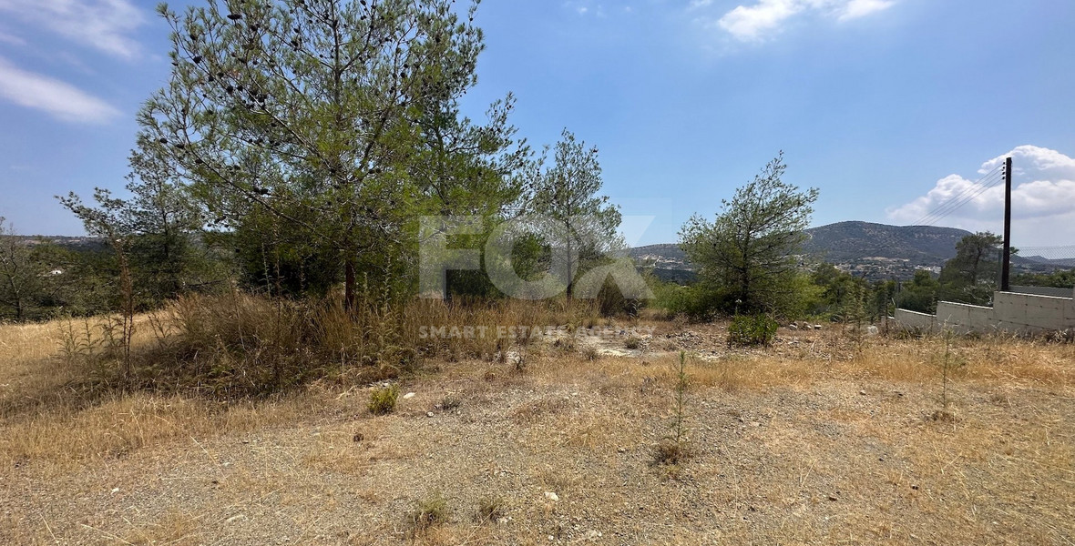 An amazing agricultural field with private road in Finikaria 24,415 sq. amongst pine trees and nature,  10 minutes from central Limassol.
