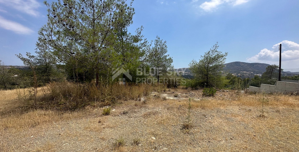 An amazing agricultural field with private road in Finikaria 24,415 sq. amongst pine trees and nature,  10 minutes from central Limassol.