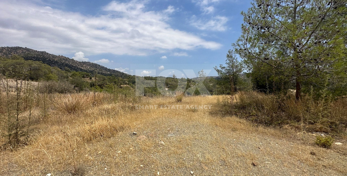 An amazing agricultural field with private road in Finikaria 24,415 sq. amongst pine trees and nature,  10 minutes from central Limassol.