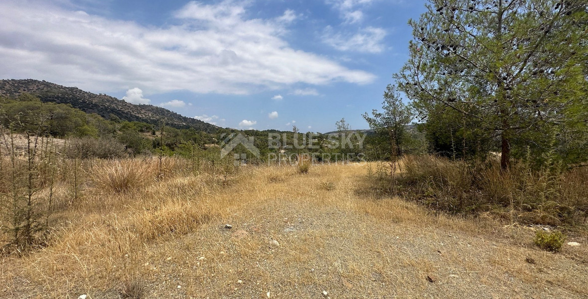 An amazing agricultural field with private road in Finikaria 24,415 sq. amongst pine trees and nature,  10 minutes from central Limassol.