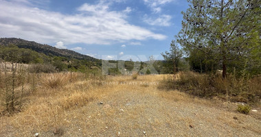 An amazing agricultural field with private road in Finikaria 24,415 sq. amongst pine trees and nature,  10 minutes from central Limassol.