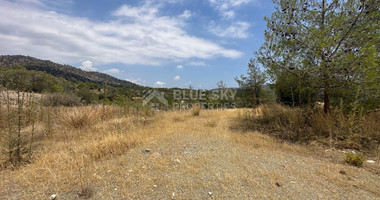 An amazing agricultural field with private road in Finikaria 24,415 sq. amongst pine trees and nature,  10 minutes from central Limassol.