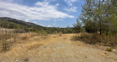 An amazing agricultural field with private road in Finikaria 24,415 sq. amongst pine trees and nature,  10 minutes from central Limassol.