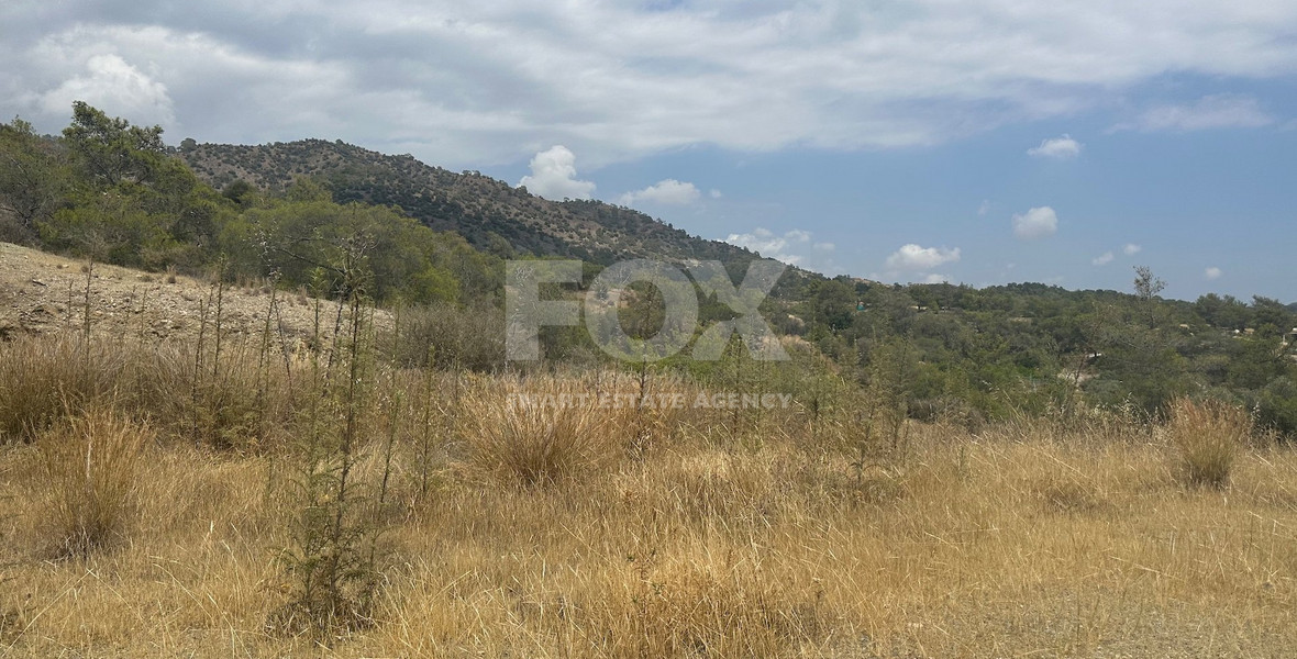 An amazing agricultural field with private road in Finikaria 24,415 sq. amongst pine trees and nature,  10 minutes from central Limassol.