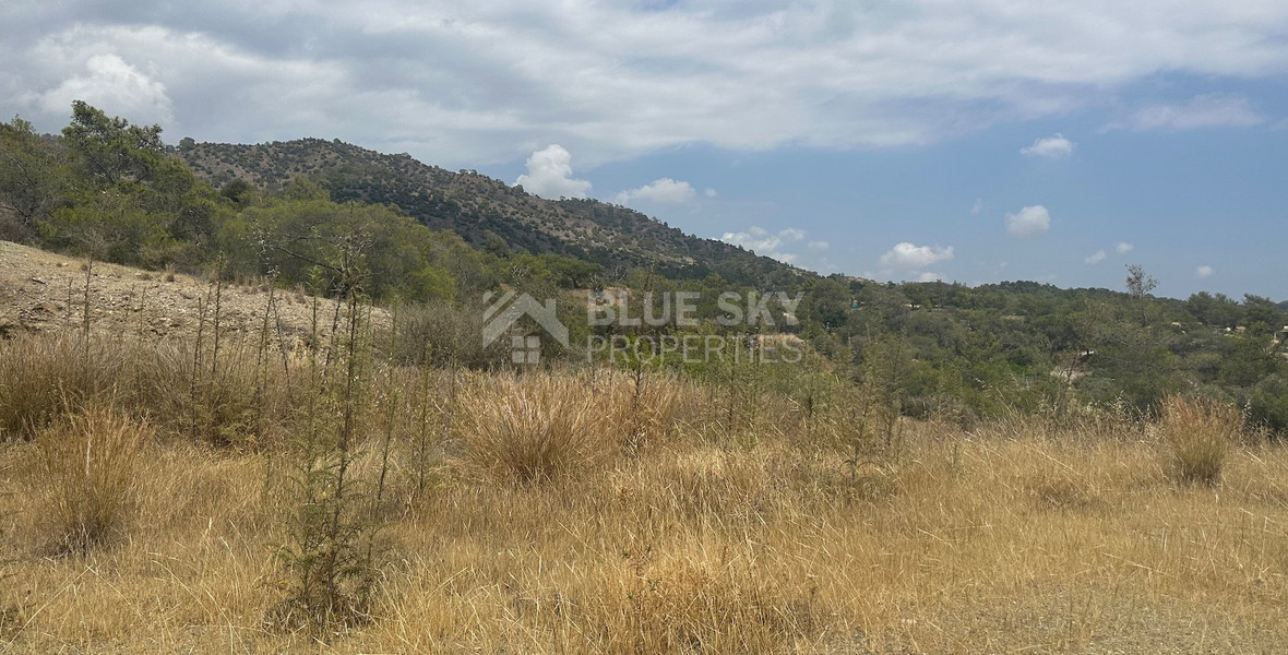 An amazing agricultural field with private road in Finikaria 24,415 sq. amongst pine trees and nature,  10 minutes from central Limassol.