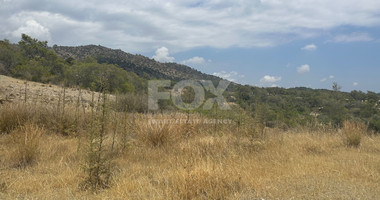 An amazing agricultural field with private road in Finikaria 24,415 sq. amongst pine trees and nature,  10 minutes from central Limassol.